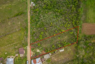 LETCA NOUA, TEREN CONSTRUCTII 1184 MP, FRONT 21 M ! - 17