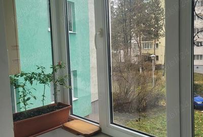 Pf vand ap 2 cam - 8