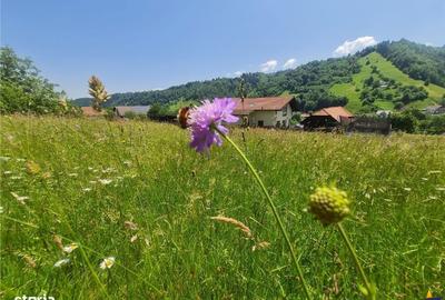 Spațiu comercial, în Județean - 17