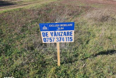 Spațiu comercial, în Central