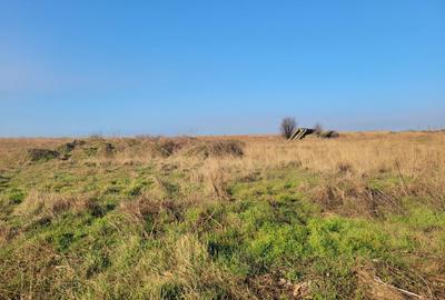 Spațiu comercial, în Palazu Mare - 3