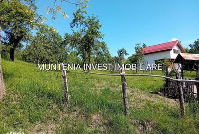Spațiu comercial, în Brădetu - 5
