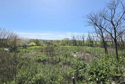 Teren Construcții intravilan de 2760 mp, în Sibioara - 5