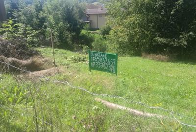 Spațiu comercial, în Bran - 3