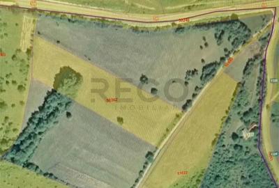 Teren de 17500 mp, în Șinteu - 6
