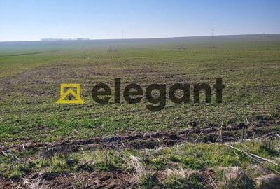 Teren 1.500 mp, deschidere 15 ml, Carcea in apropiere de VEROTHERM VILLAS - 4