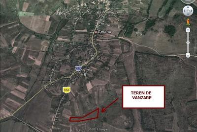 Teren de 11600 mp, în Cetariu - 5