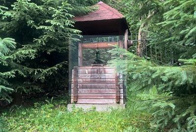 Casa/Vila de vanzare in Predeal - 20