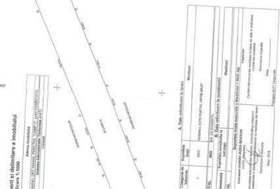 Teren de 10000 mp, în Central