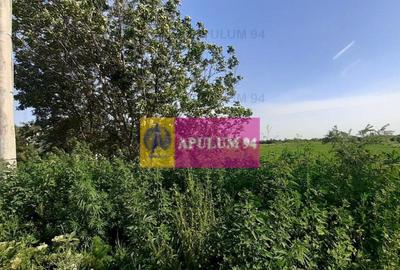 Teren de 5000 mp, în Copăceni