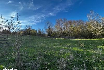Teren de 2500 mp, în Valea Doftanei - 7