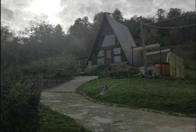 Casă cu 2 camere în Iapa - 7