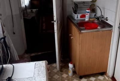 Casa cu gradina langa Cetatea Harman - 10