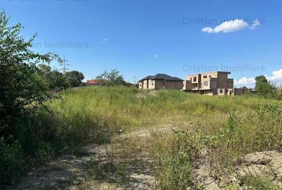 1073mp cu 25m deschidere Radu Negru Buzaului 121Euro/ mp - 2