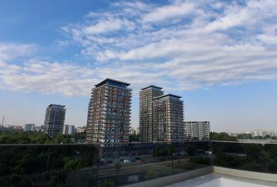 Penthouse cu 9 camere decomandat în Splaiul Unirii - 36