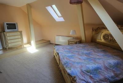 Vila boiereasca, superba, strada, linistita, nelipita de vreun alt imobil Vila boiereasca, superba, strada, linistita, nelipita de vreun alt imobil - 22