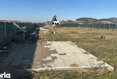 Teren de 1595 mp, în Sânpetru - 5