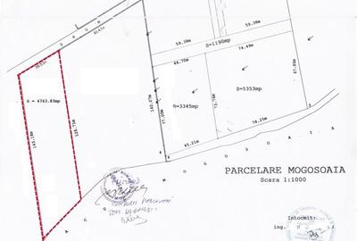 Teren dezvoltare 4763 pe malul Lacului Mogosoaia deschidere 40 metri - 3