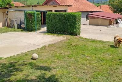 Casă cu 3 camere în Bejan - 5