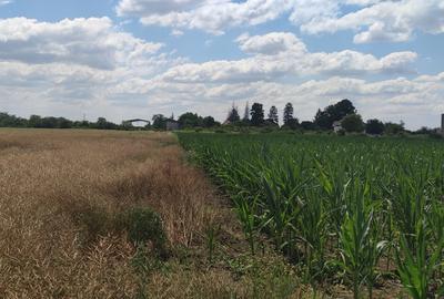 Clinceni- Colectorul de Apa - 3