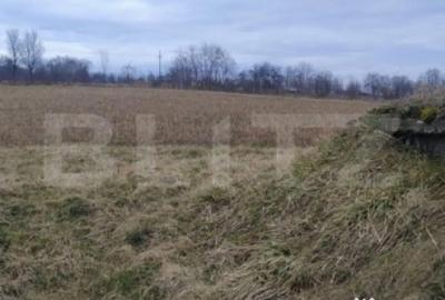 Casă cu 4 camere cu Teren 5450 Mp în Central