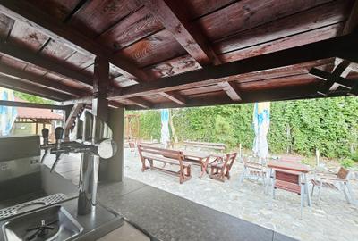 Casă + Afacere + Relaxare = Investiția Perfectă, in Cioranii de Jos - 46
