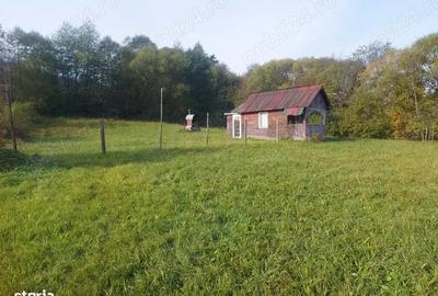 Spre vanzare proprietate 4688 mp in Campulung Moldovenesc - 10