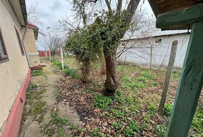 Casa si teren de vanzare in Tifesti - Sat Olesesti 30.000 Euro - 20