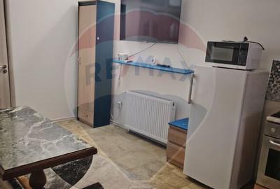 Apartament cu 1 camere de inchiriat in zona Ultracentral - 4