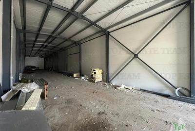 Spațiu comercial, de 435 mp, în Ulmi - 3