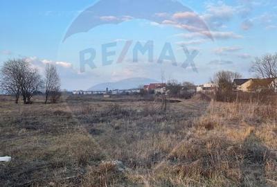 Teren Sibiu / Strand II - Campsor - 8