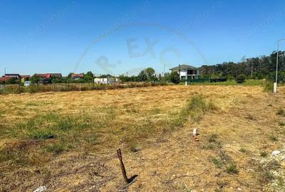 Teren cu dubla deschidere Eden Forest - 4