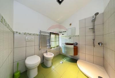 Conac, proprietate unica, in mijlocul naturii, Sacele! - 20