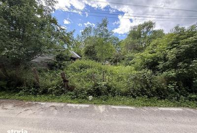 Teren de 683 mp, în Provița de Sus - 1