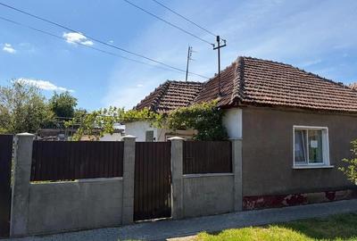 Casă cu 3 camere cu Teren 250 Mp în Zimandu Nou - 2