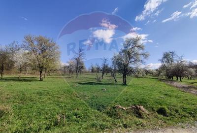 Teren intravilan pentru casa Carbunari - 7