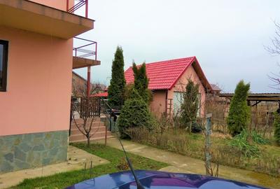 Casă cu 3 camere cu Teren 1880 Mp în Măgurele - 8