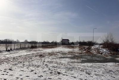 Teren de 447 mp, în Priseaca - 6