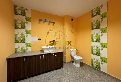 Hala si birouri zona Mogosoaia sos Odai - 3