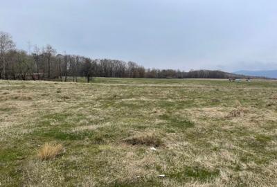 Teren Construcții intravilan de 40000 mp, în Teișani - 4