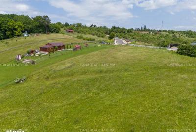 Spațiu comercial, în Vulcan - 14