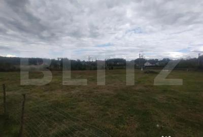 Casă cu 3 camere cu Teren 2508 Mp în Central - 3