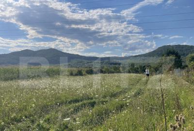 Teren intravilan Vii?oara ideal pentru casa sau invest - 2