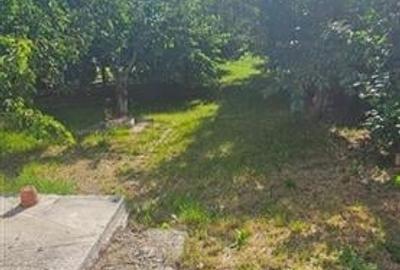 Casă individuală cu 4 camere cu Teren 2400 Mp în Osoi (Comarna) - 19