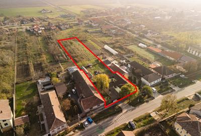 Casă individuală cu 9 camere cu Teren 3763 Mp în Peciu Nou - 32