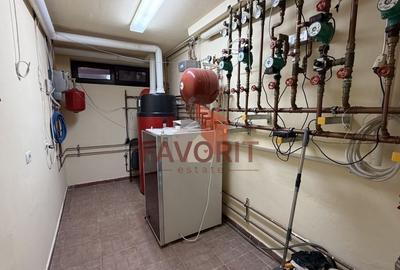 COMISION 0%. Casa individuala in centrul Dumbravitei. Oportunitate imobiliara - 16