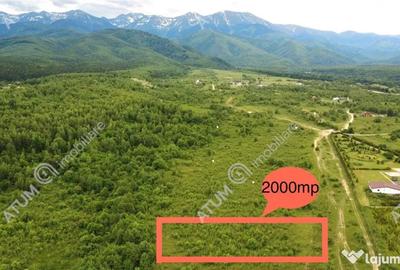 Teren în Porumbacu de Sus - 4