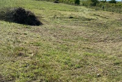 Teren Construcții extravilan de 1711 mp, în Sălicea - 3