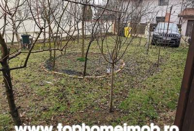 Vila P+1 Iancu Nicolae- Pipera- Drumul Potcoavei - 20