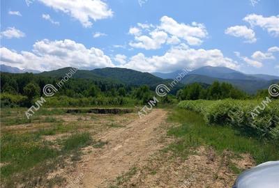 Teren intravilan 3900 mp Porumbacu de Sus, Sibiu - 4